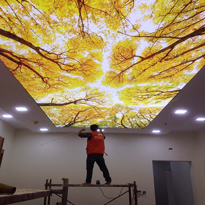 Trần nhà đẹp tại Tam Kỳ thi công lắp đặt chuyên nghiệp