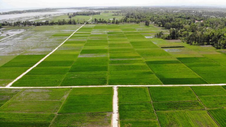 Thuê flycam tại Quảng Nam chụp hình quay phim